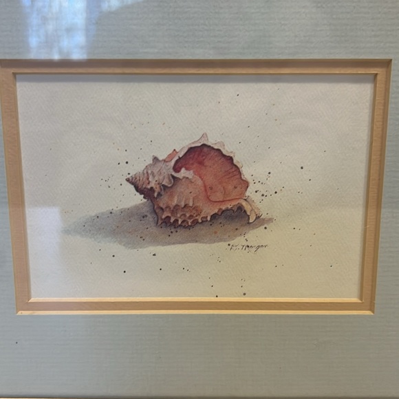 (3) D Morgan seashell framed prints - Picture 2 of 7